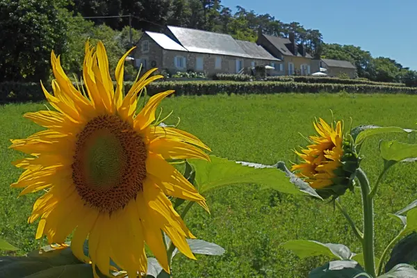 Le Fleuron